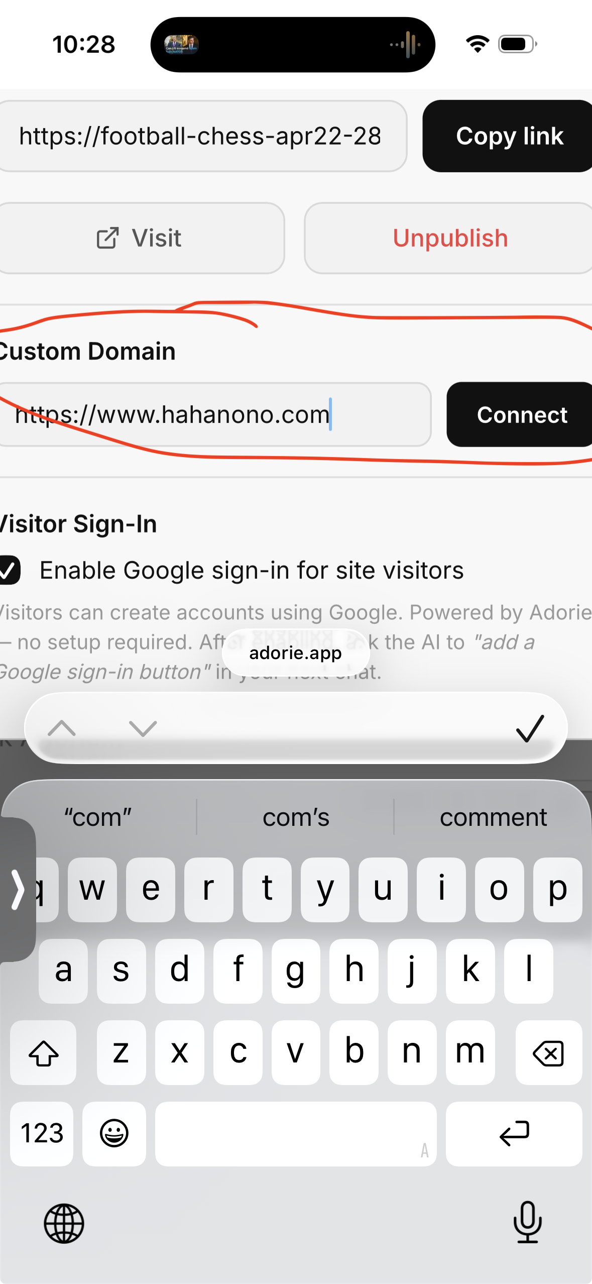Publish modal with Custom Domain field and Connect button