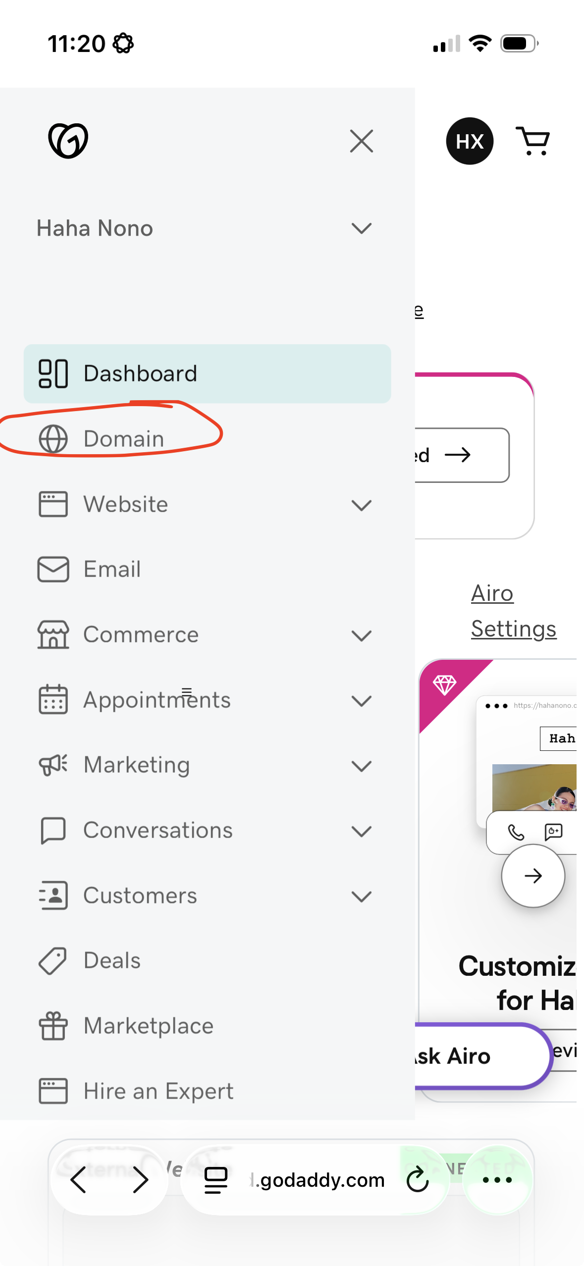 GoDaddy app sidebar with Domain menu item highlighted